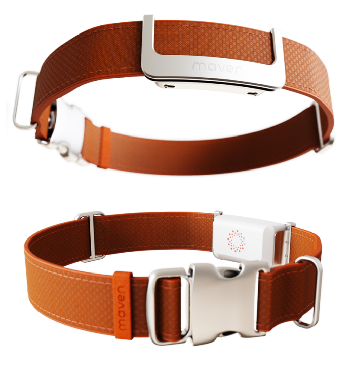 Personal vet to track your pet’s safety and health 24/7