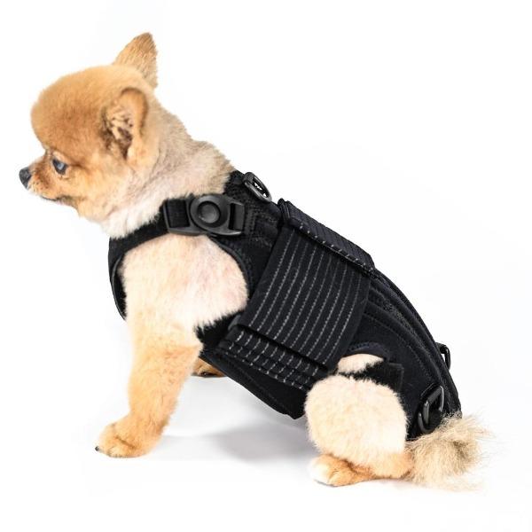 Haute Lil Back Bracer
