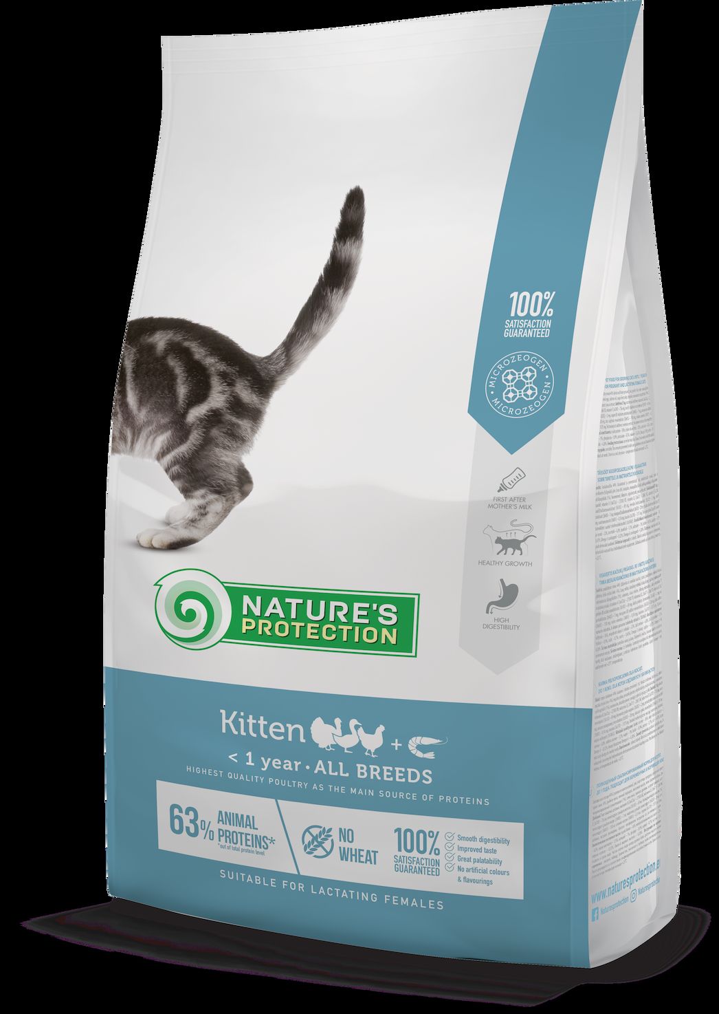 Nature's Protection Kitten