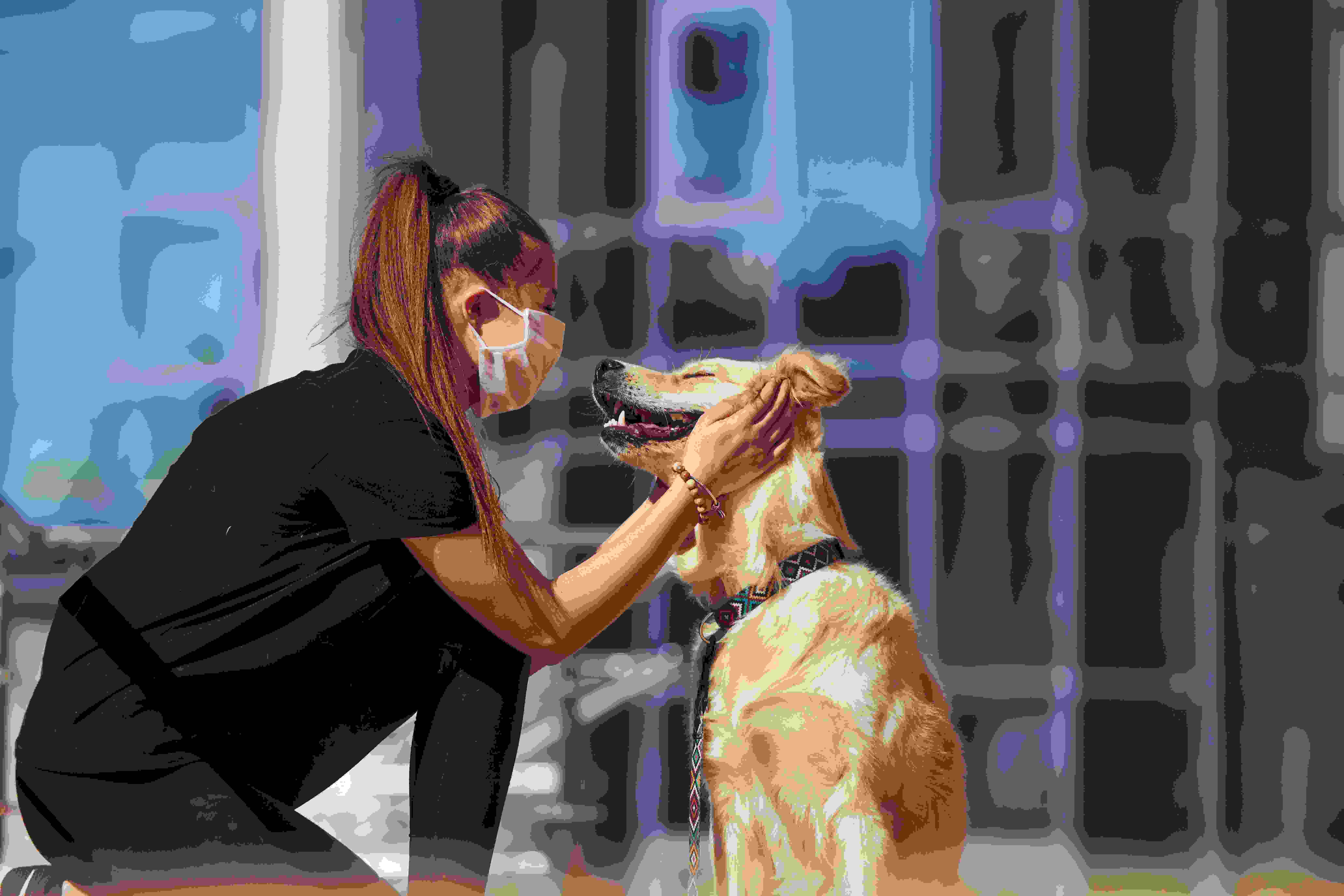 Pet-demic Stories